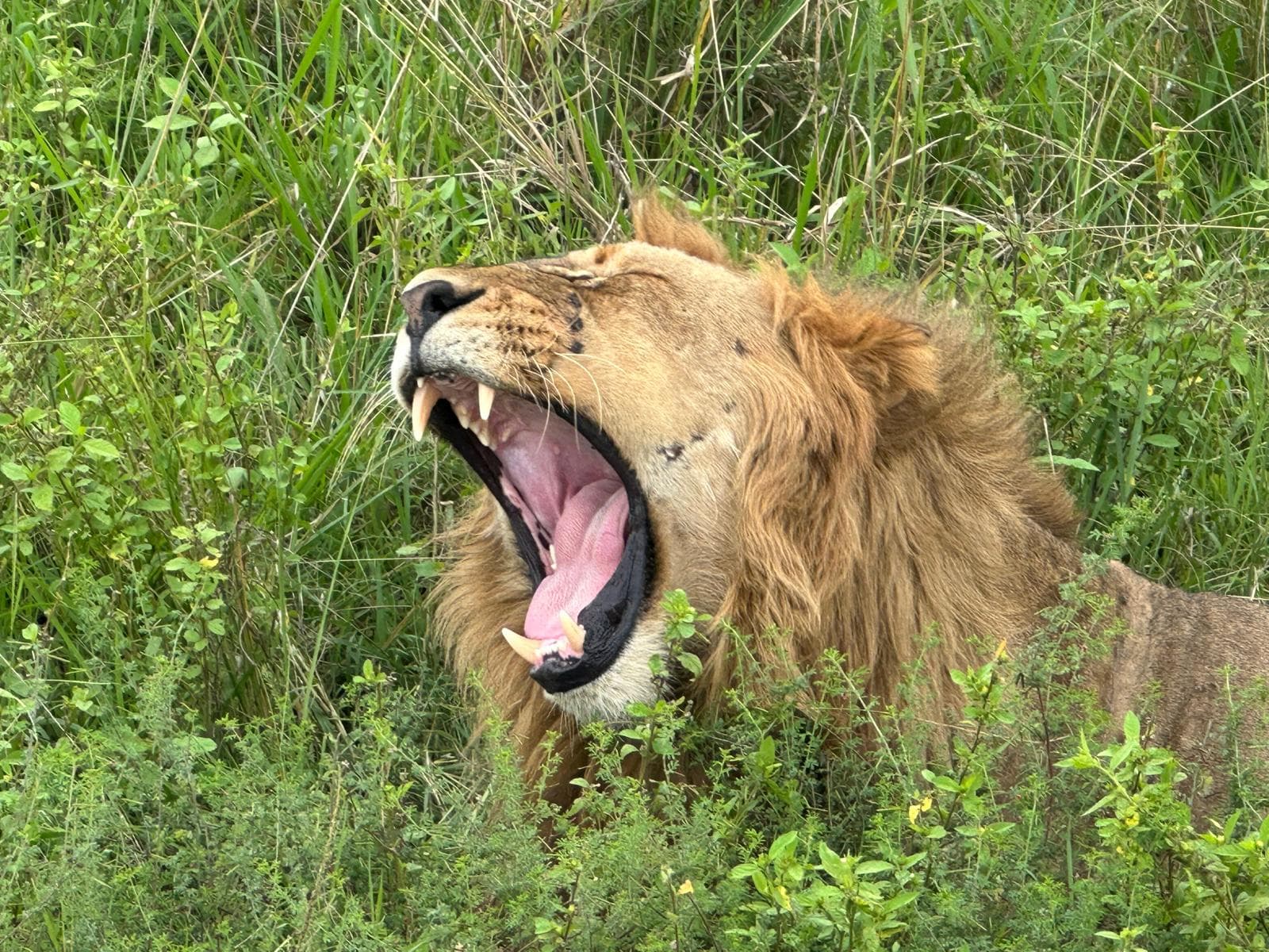 The Big Five
