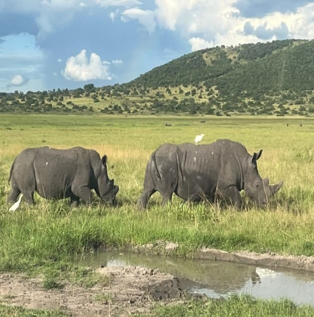 Rwanda & Uganda