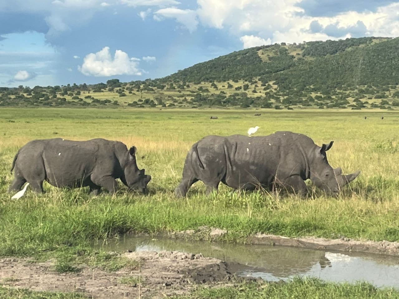Akagera National Park