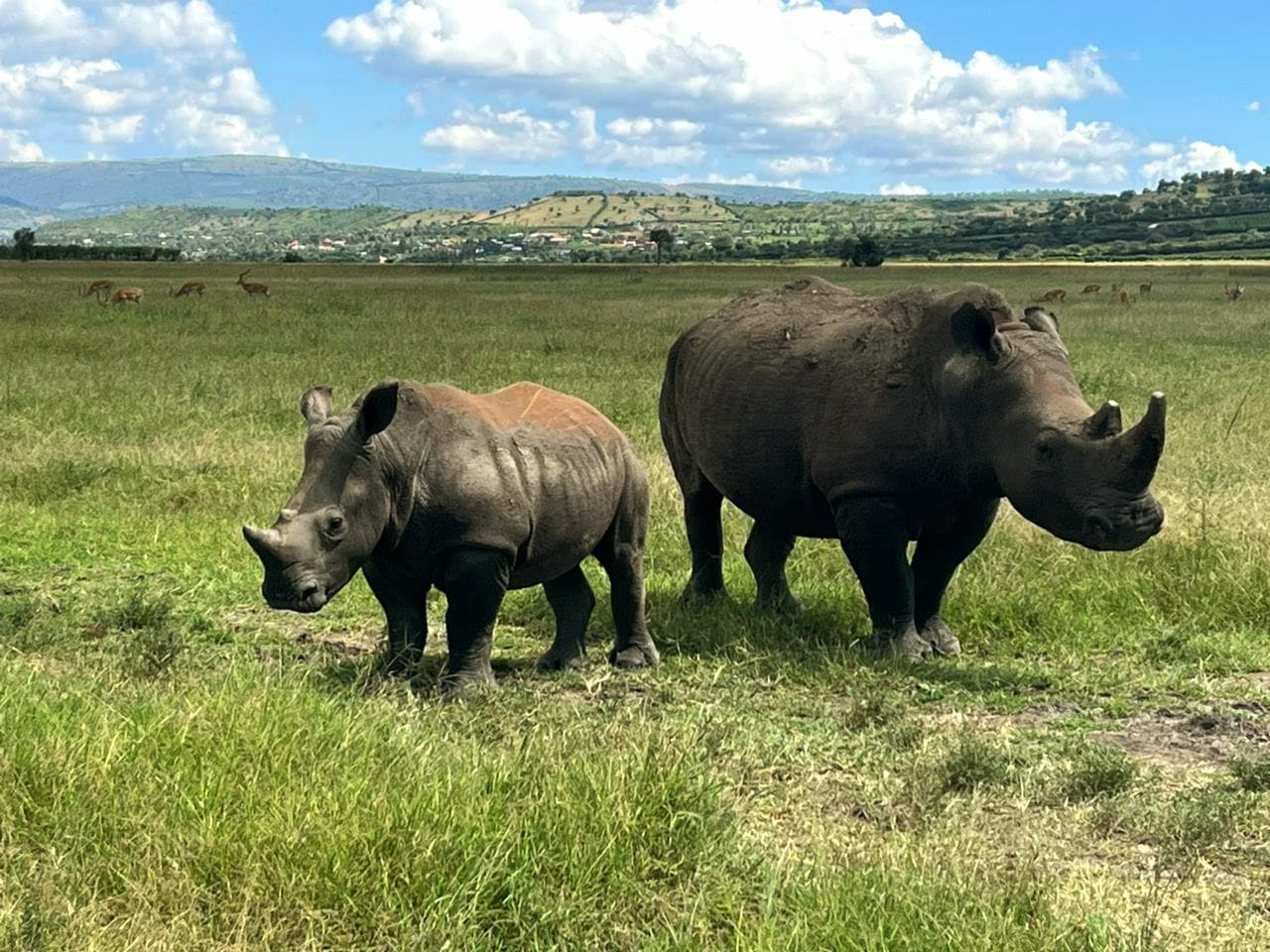 3-Day Akagera Game Drive Safari