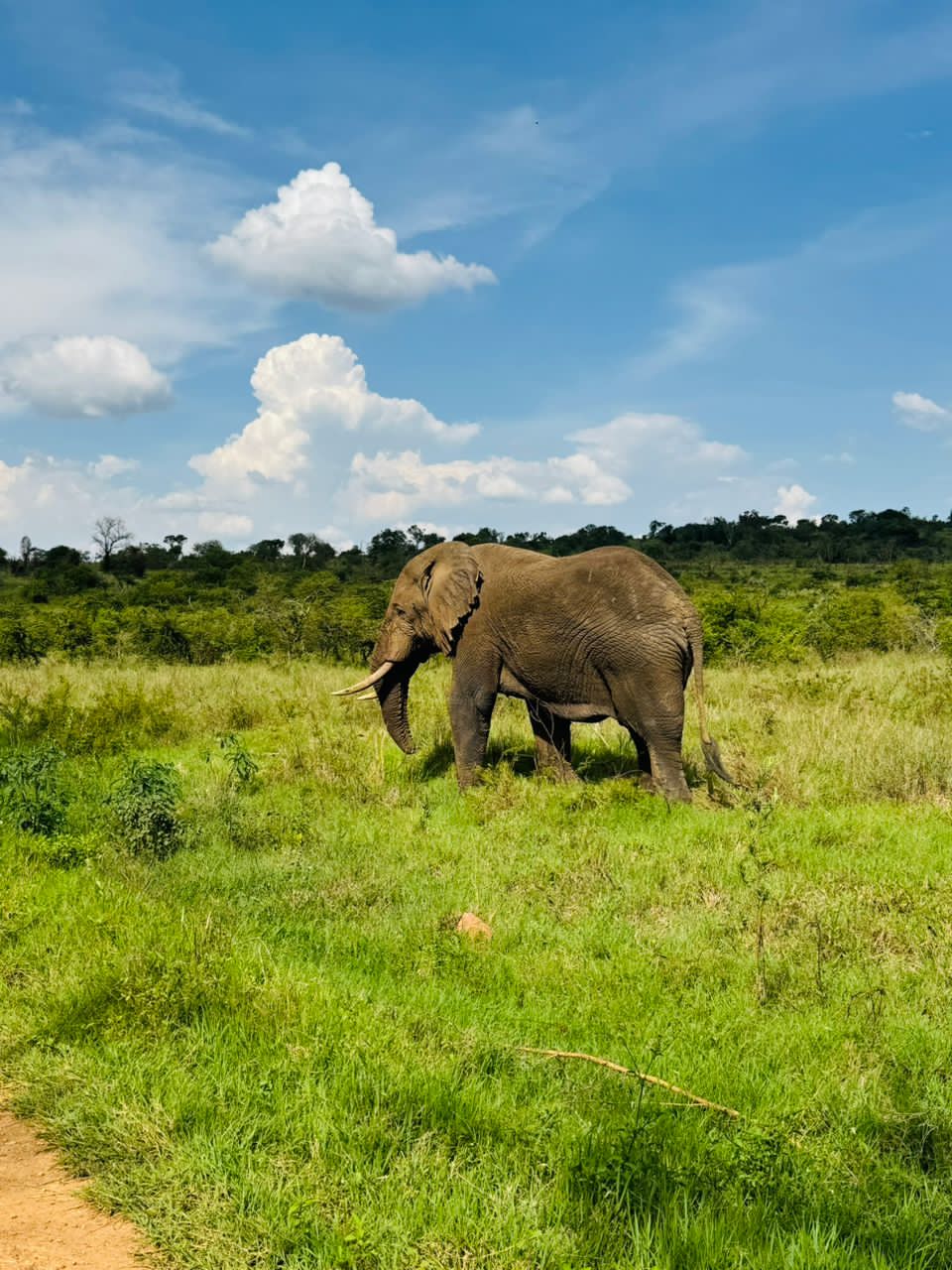 Queen Elizabeth National Park