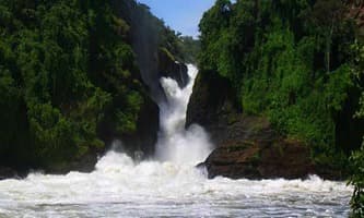 Murchison Falls National Park