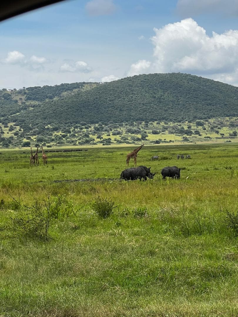  3-Day Kigali City Tour and Akagera Game Safari