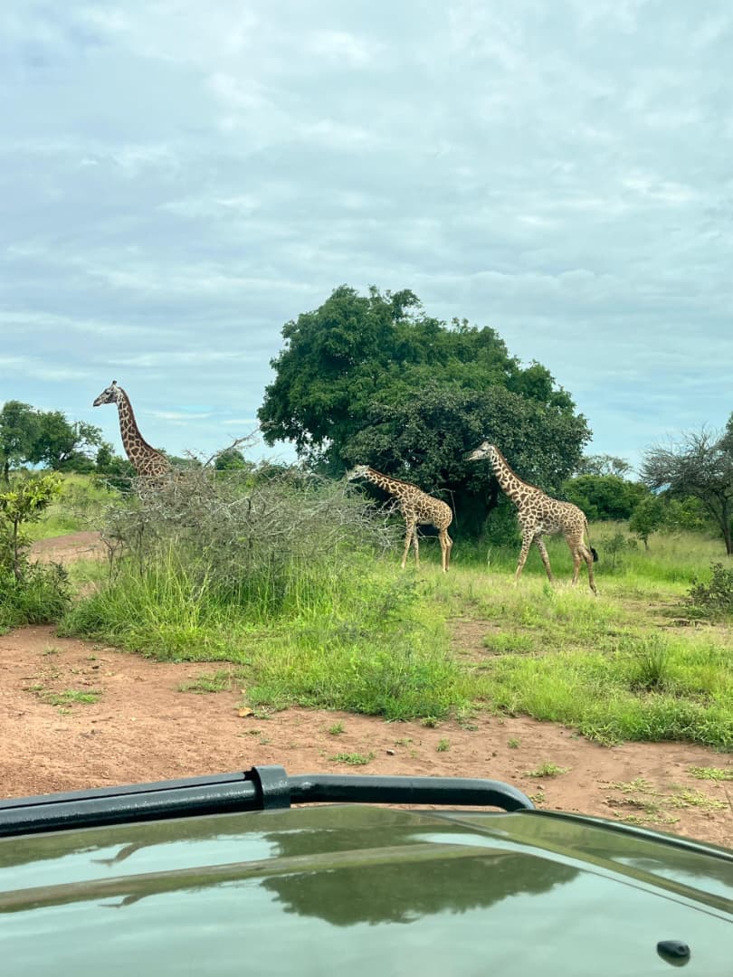 8-Day Rwanda Wildlife, Adventure & Cultural Tour