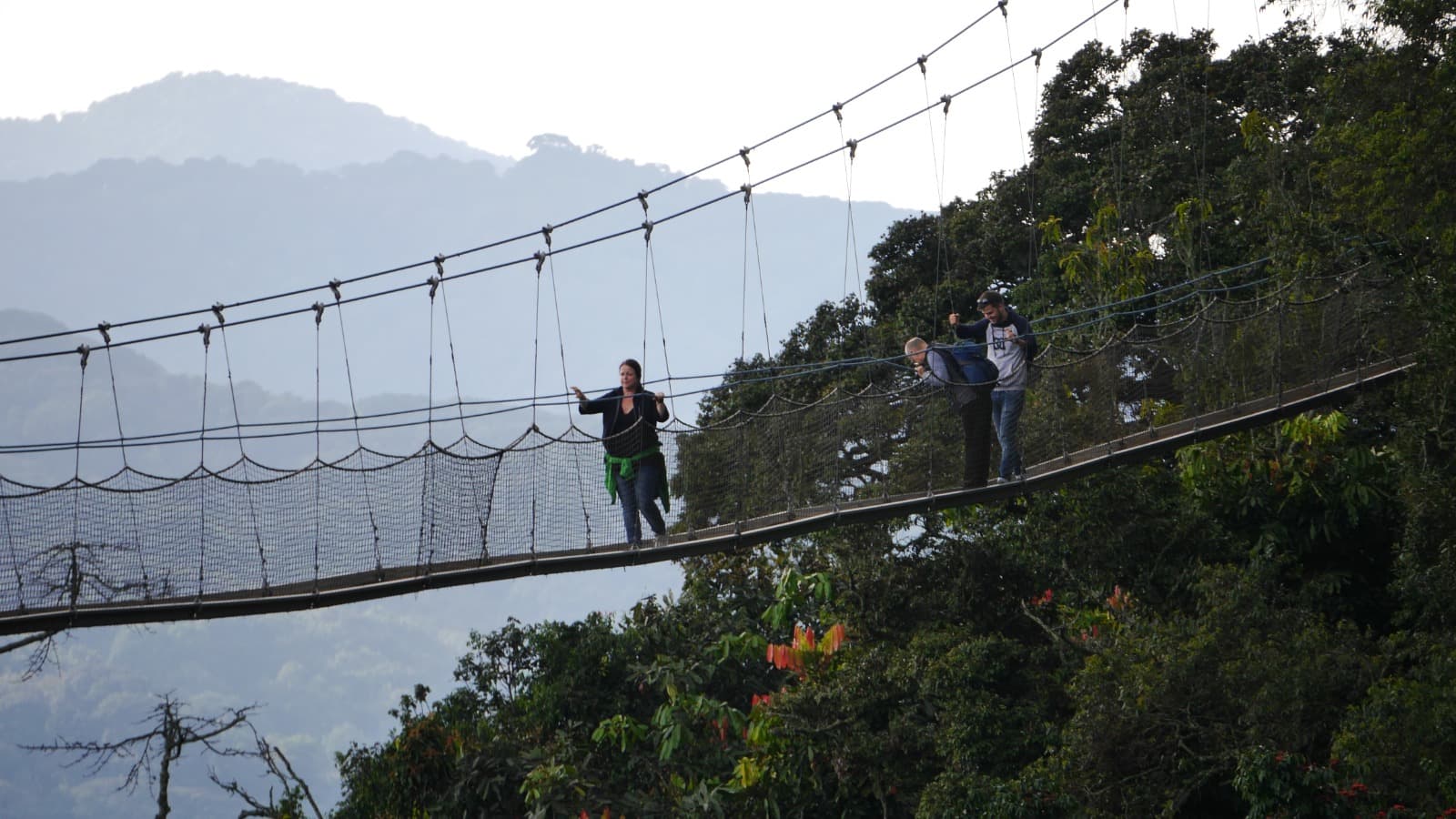 <h2><span style="color: rgb(232, 130, 30);"><strong>5-Day Nyungwe National Park Chimpanzee Trekking Safari</strong></span></h2><p></p>