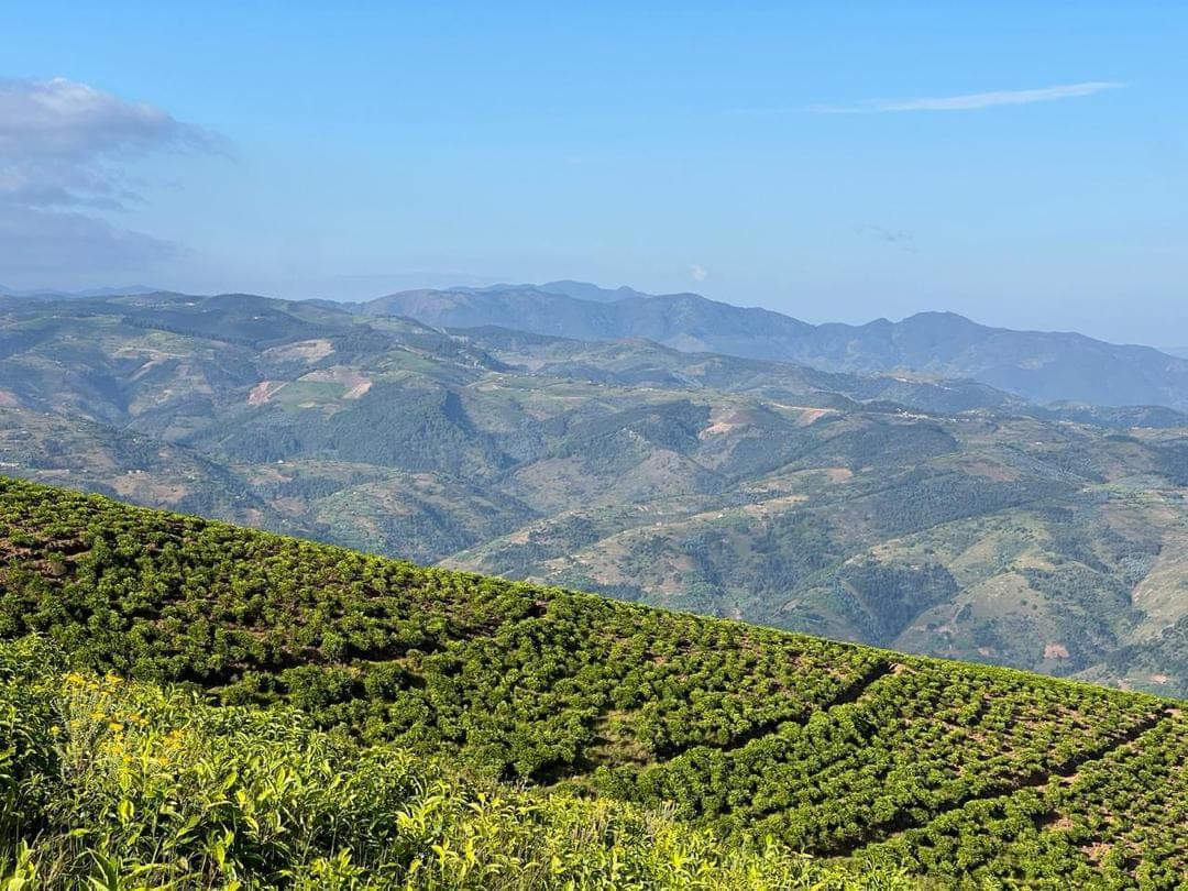 <h2><span style="color: rgb(184, 115, 15);"><strong>Rwanda Travel Costs: Complete 2026 Budget Guide for Tourists</strong></span></h2><p></p>