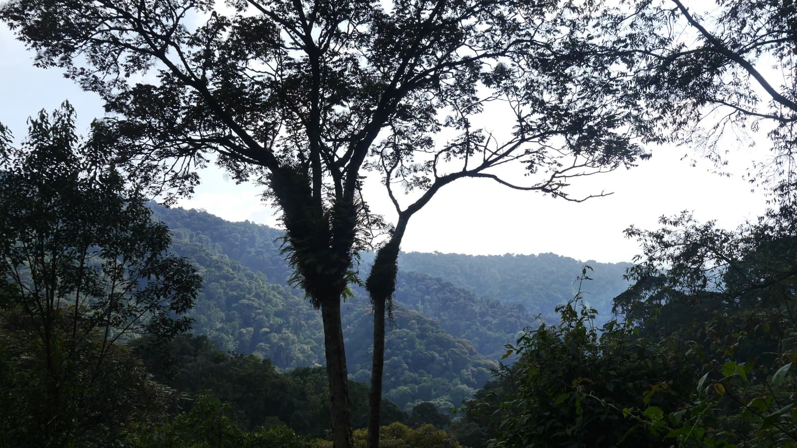 <h2><span style="color: rgb(184, 115, 15);"><strong>Top 15 Places to Visit in Rwanda | Complete Travel Guide 2026</strong></span></h2><p></p>